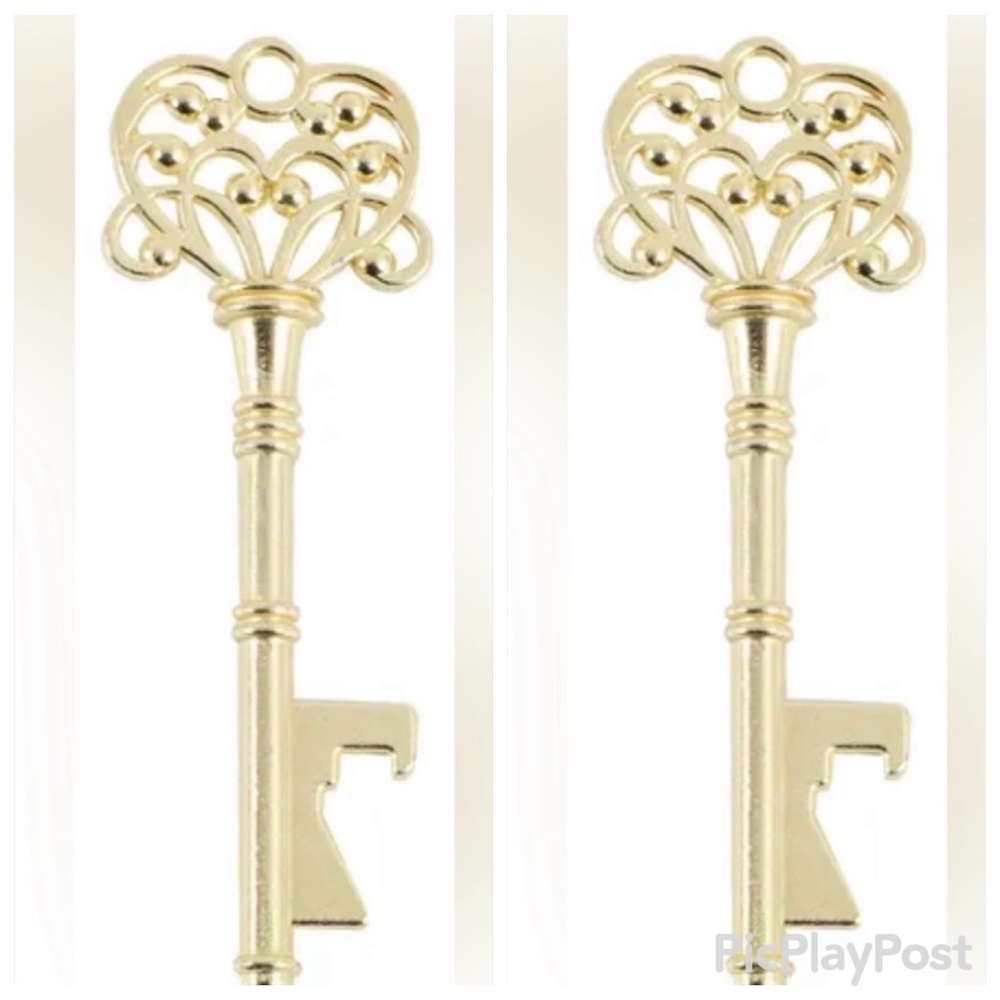Pair of key chains /handbag charms Elegant Gold keys